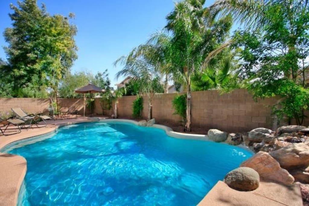 Pet Friendly Vacation Rentals In Gilbert Az Bringfido
