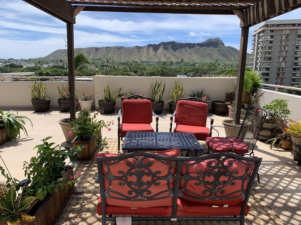 Waikiki Condo Pet Policy