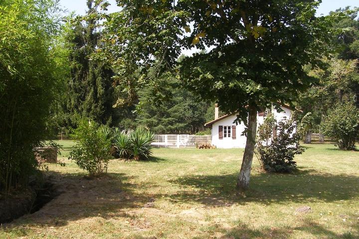 Pet Friendly Rustic Home in Heart of Landes Countryside