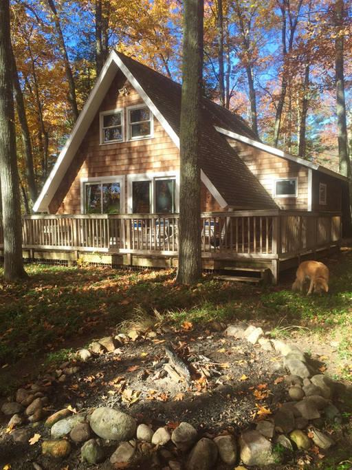 Pet Friendly Harbor Springs Airbnb Rentals