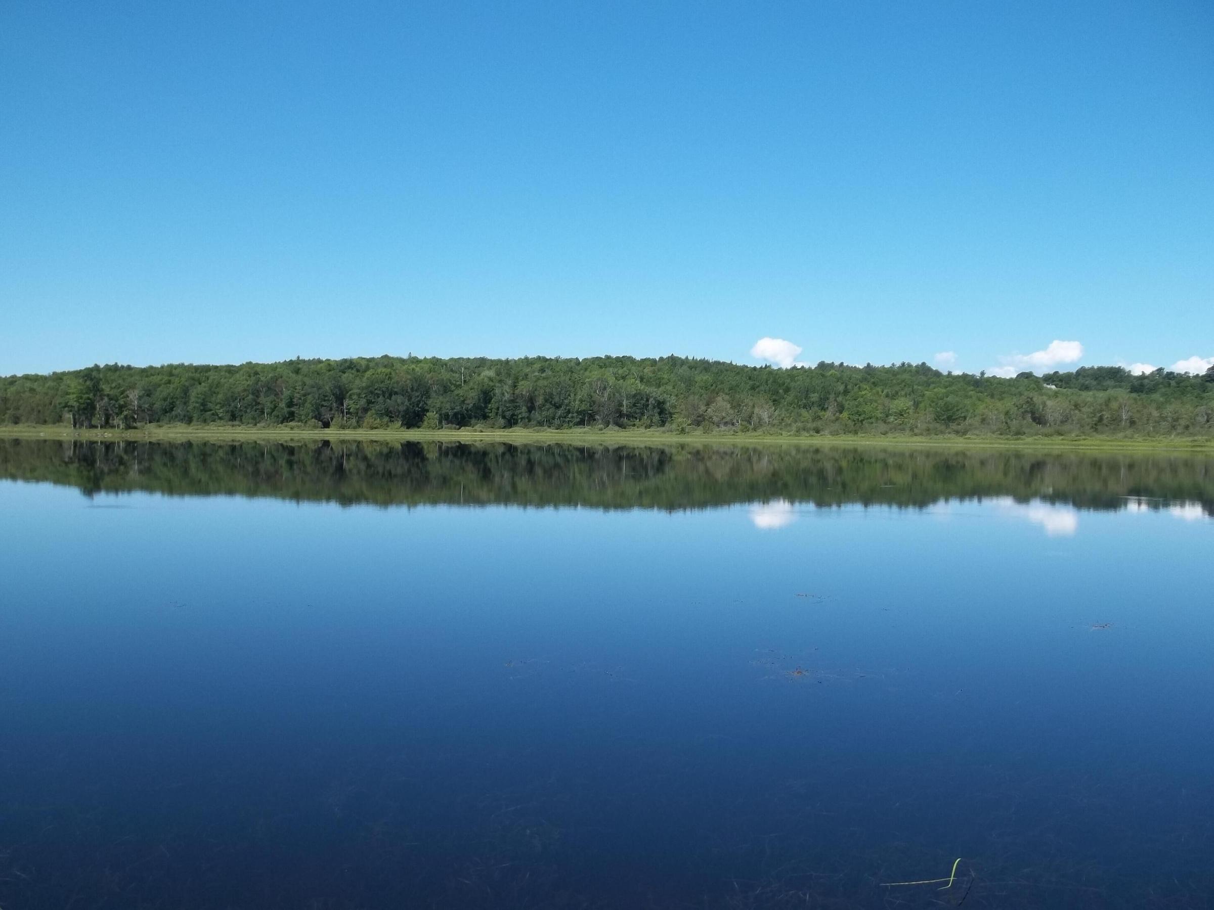 Pet Friendly Lakefront Getaway with Kayak & Canoe