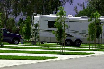 Pet Friendly Campgrounds In Palomar Mountain Ca Bringfido