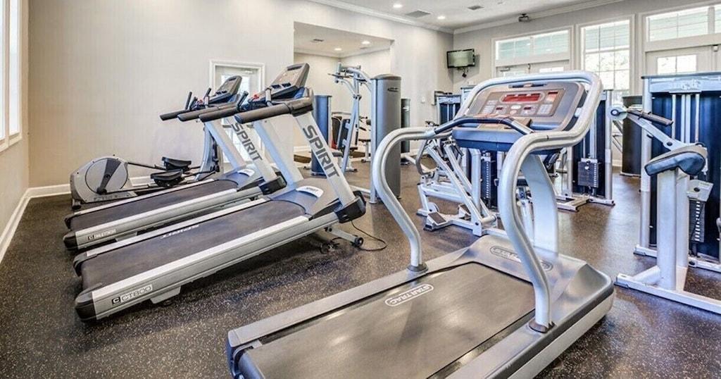 Lux Life 1/1 in Orlando Near UCF Pet Policy