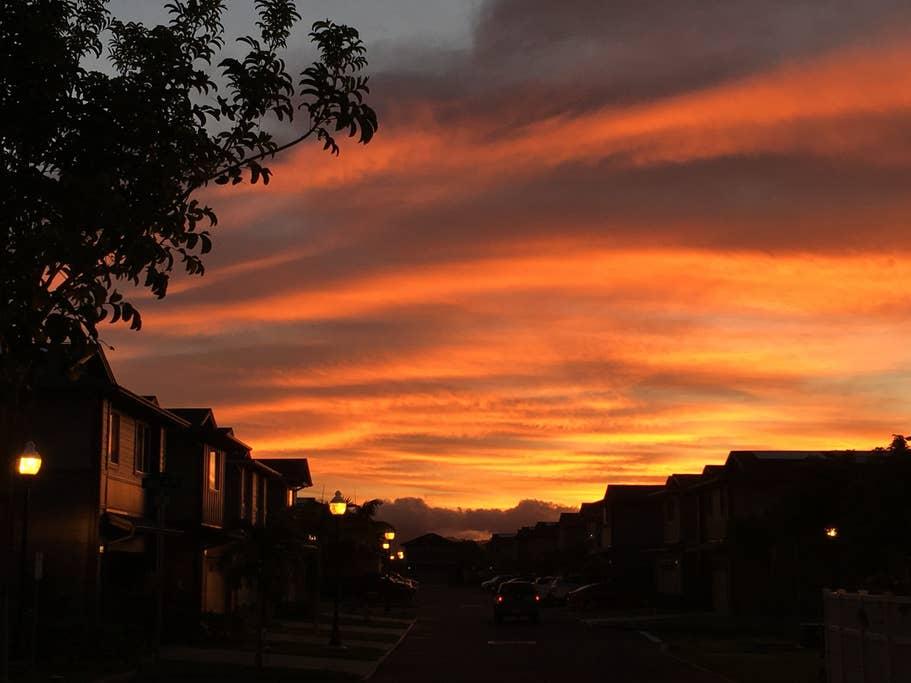 Ewa Beach Airbnb Rentals Pet Policy