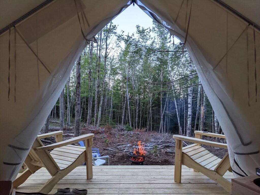 StargazerButteD597 Pet Policy