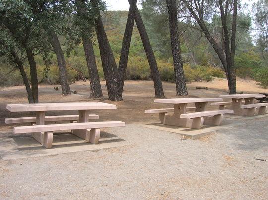 Pet Friendly Campgrounds In Elk Creek Ca Bringfido