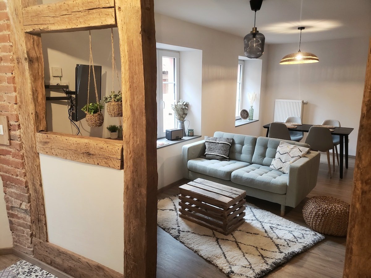 Picture of a pet-friendly vacation rental in Neupotz, DE.