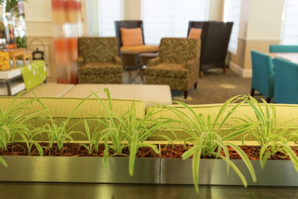 Hilton Garden Inn St Augustine Beach Pet Policy