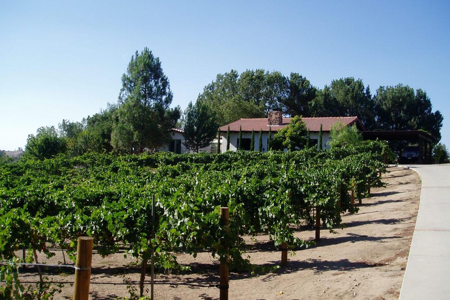 Dog Friendly Wineries In Temecula Ca 92592 Gershon Bachus Vintners
