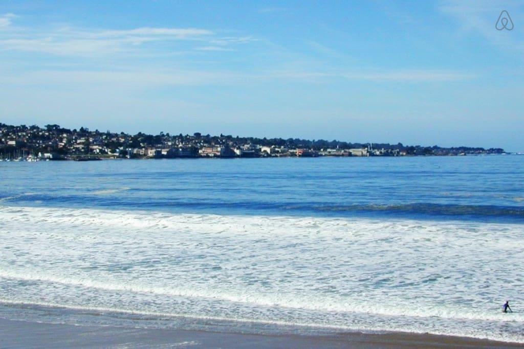 Pet Friendly Monterey Airbnb Rentals
