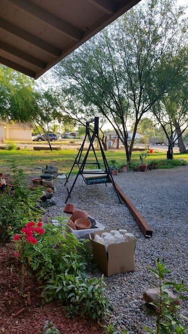 Pet Friendly San Luis Airbnb Rentals