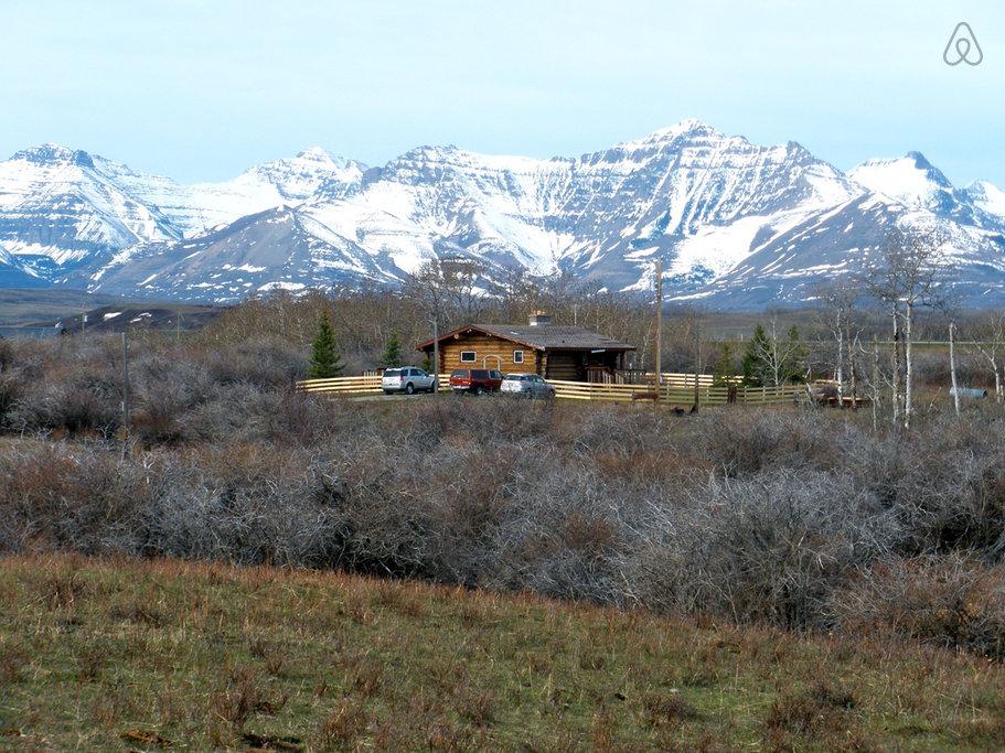 are dogs allowed in waterton national park