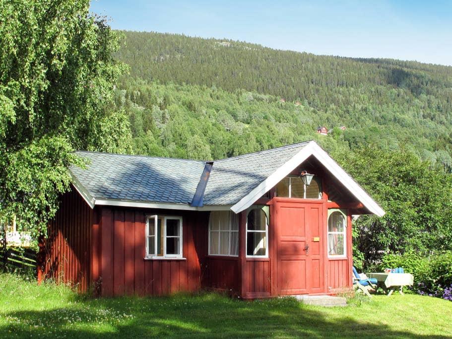 Pet Friendly Aurdal Airbnb Rentals