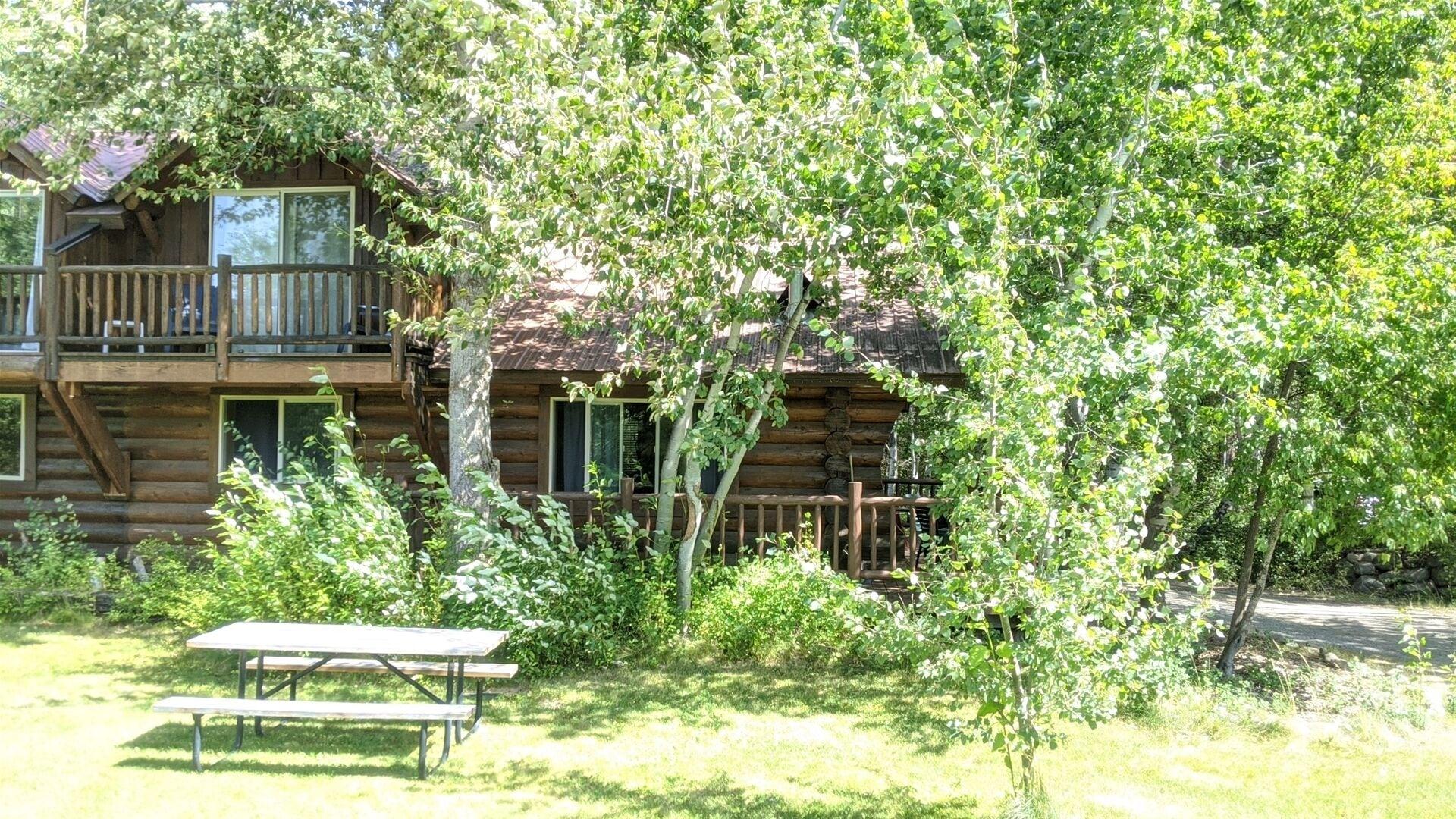 Pet Friendly Timber Wolf One Bedroom