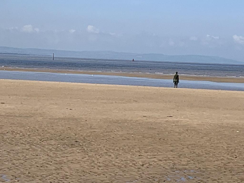 Beach House Crosby Bay Pet Policy