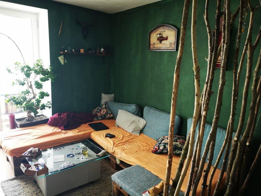 Pet Friendly Ampflwang im Hausruckwald Airbnb Rentals