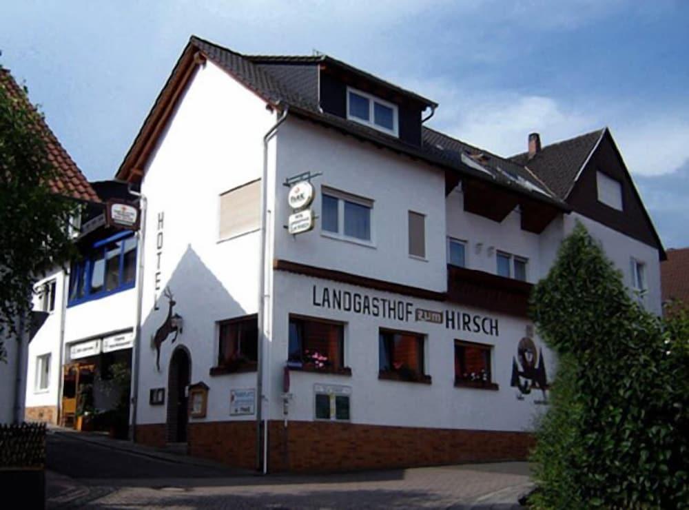 Pet Friendly Hotel - Landgasthaus Zum Hirsch