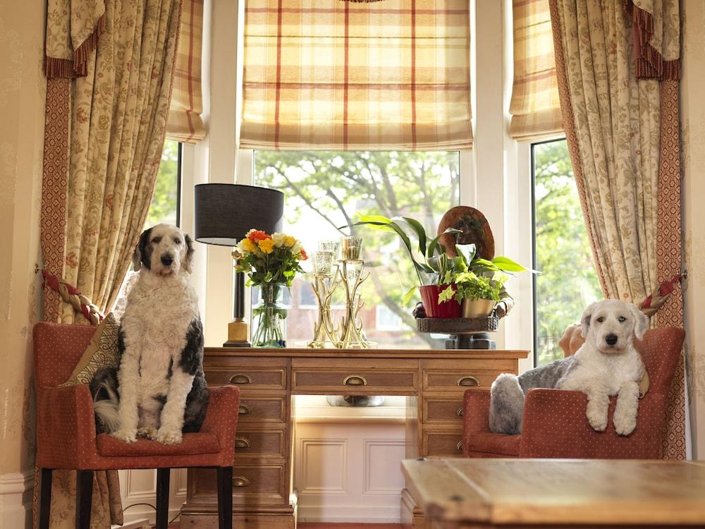 Pet Friendly Howarth House