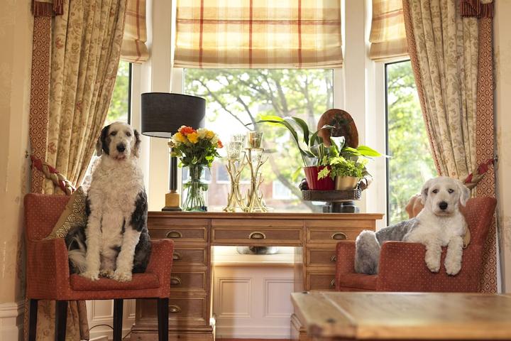 Pet Friendly Howarth House