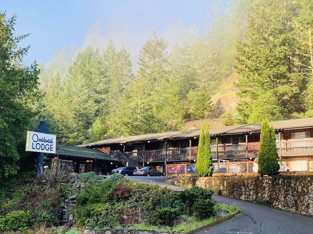 Pet Friendly The Occidental Lodge