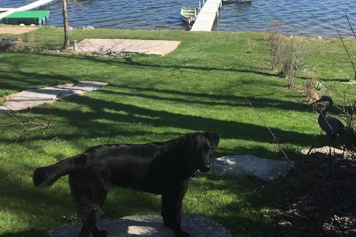 Pet Friendly House on Waubeesee Lake with Kayaks