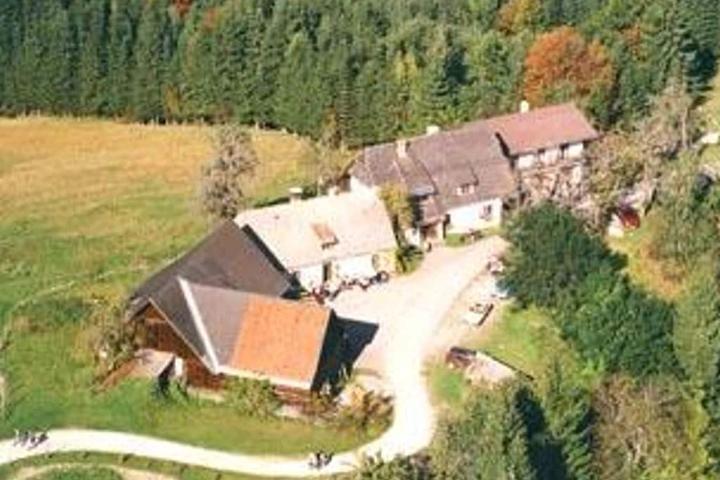 Pet Friendly Almhof Wurbauer - 3BR Holiday House