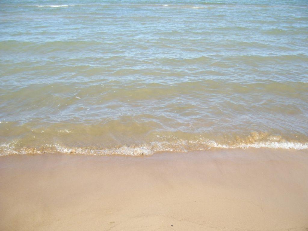 Pet Friendly Vacation Rentals In Michigan Bringfido