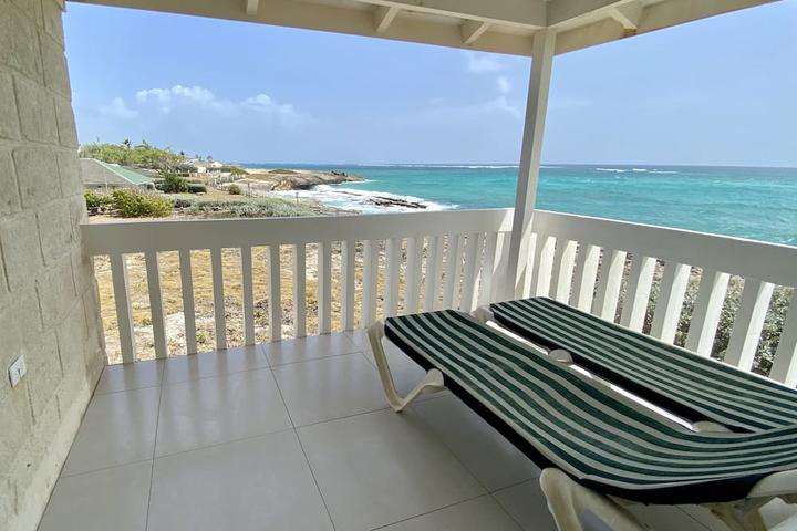 Pet Friendly Home in St Philip with Amazing Seaview