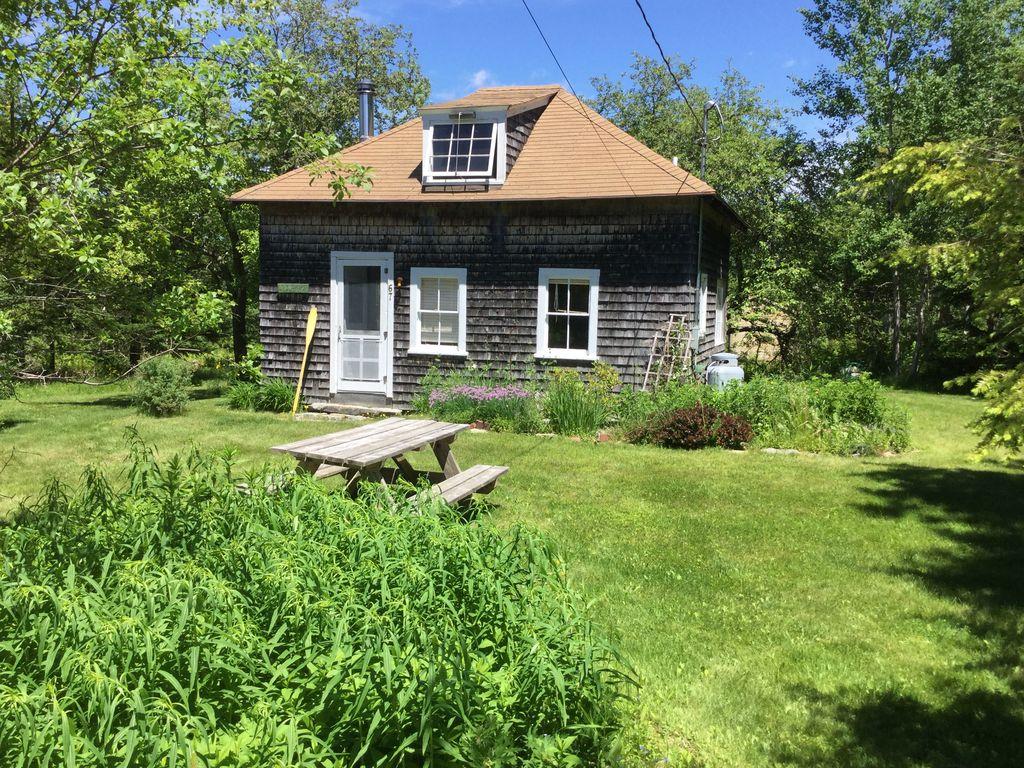 Pet Friendly Vacation Rentals In Brooksville Me Bringfido
