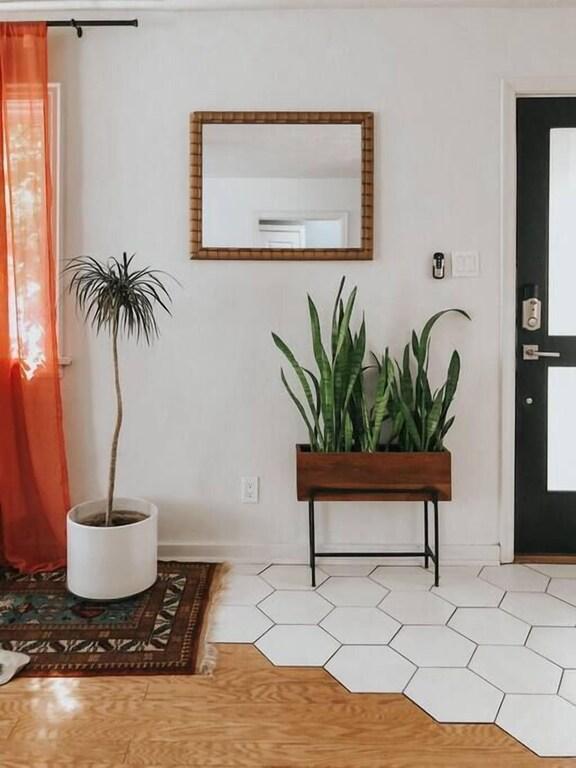 Chico Cabana Pet Policy