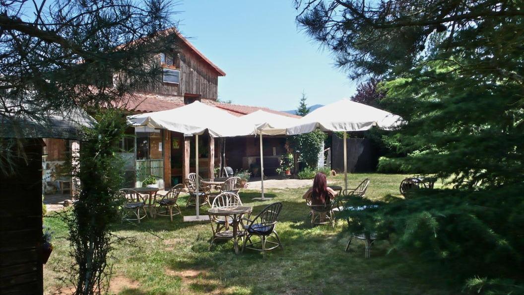 Pet Friendly Camping Aín Jaca