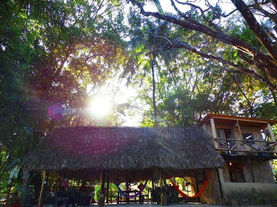 Pet Friendly Palenque Airbnb Rentals