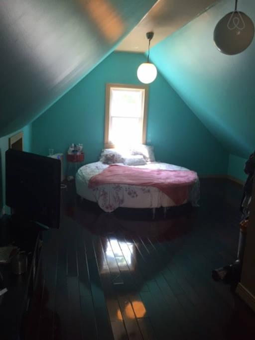 Pet Friendly Staten Island Airbnb Rentals
