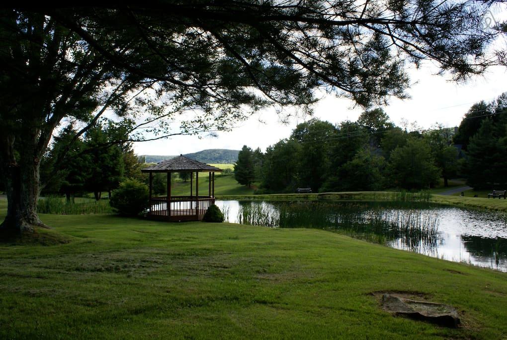 Pet Friendly Vacation Rentals In Harman Wv Bringfido