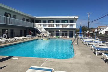 Pet Friendly Vacation Rentals In Wildwood Nj Bringfido Pet Friendly Vacation Rentals In Wildwood Nj Bringfido