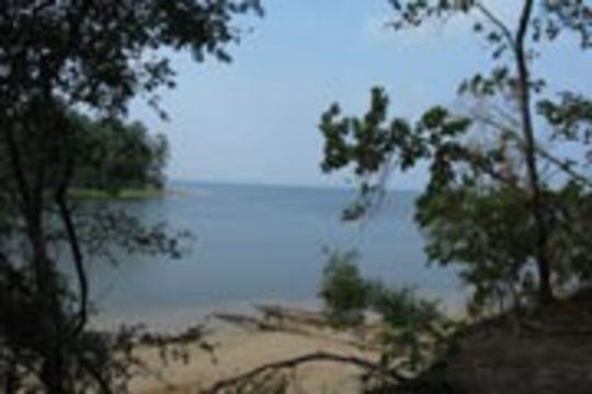 Pet Friendly South Toledo Bend State Park Campground