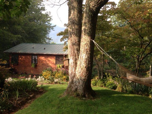 Pet Friendly Vacation Rentals In Candler Nc Bringfido