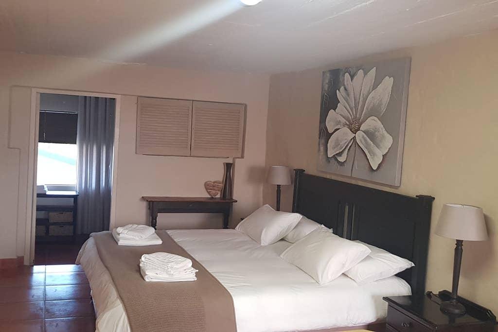 Nelspruit Airbnb Rentals Pet Policy