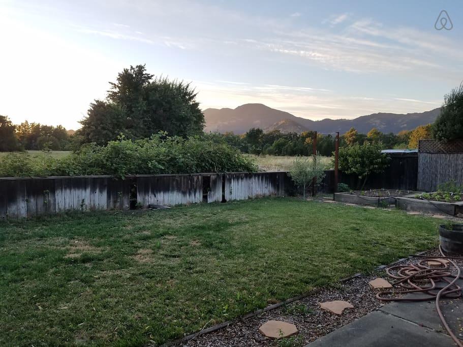 Pet Friendly Vacation Rentals In Calistoga Ca Bringfido