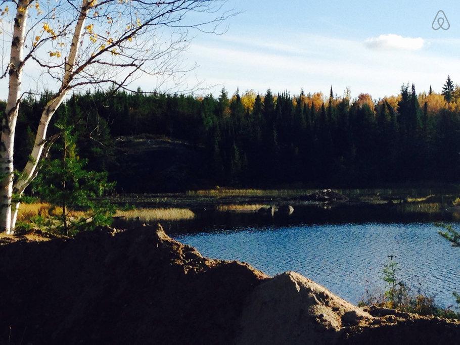 Sioux Narrows Airbnb Rentals Pet Policy