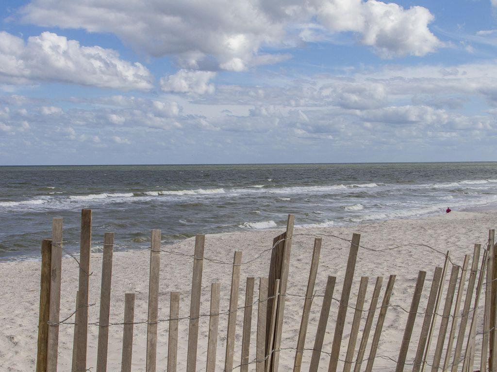 Pet Friendly Vacation Rentals In St Augustine Fl Bringfido