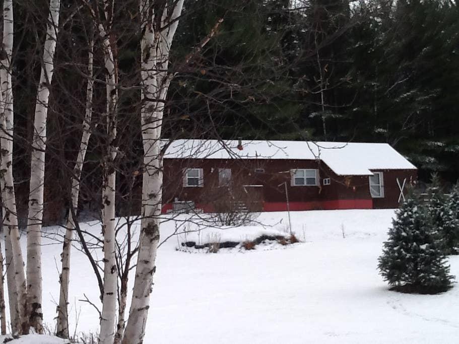 Upper Jay Airbnb Rentals Pet Policy