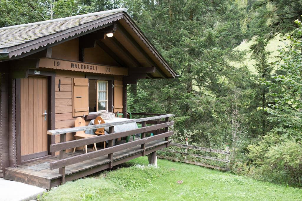 Pet Friendly Langnau Airbnb Rentals