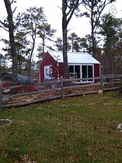 Pet Friendly East Harwich Airbnb Rentals