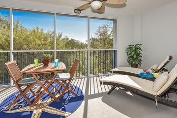 Ocean Walk Nsb Pet Policy Ocean Walk Nsb Pet Policy