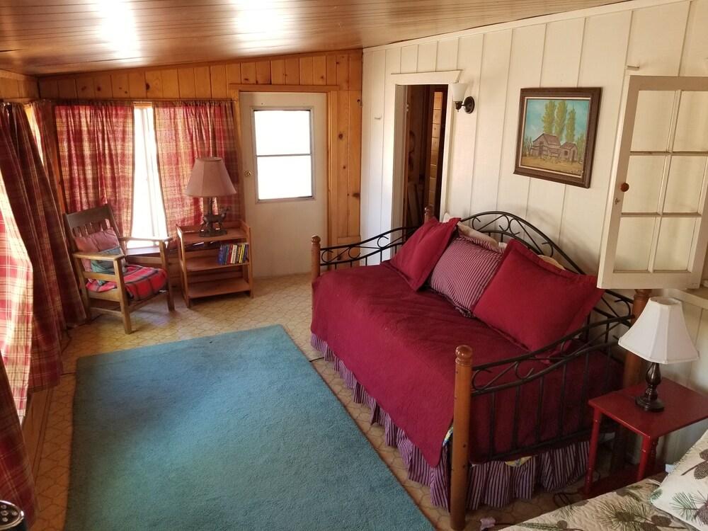 Pet Friendly The Green Cabin