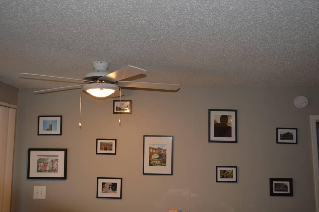 Mclean Airbnb Rentals Pet Policy