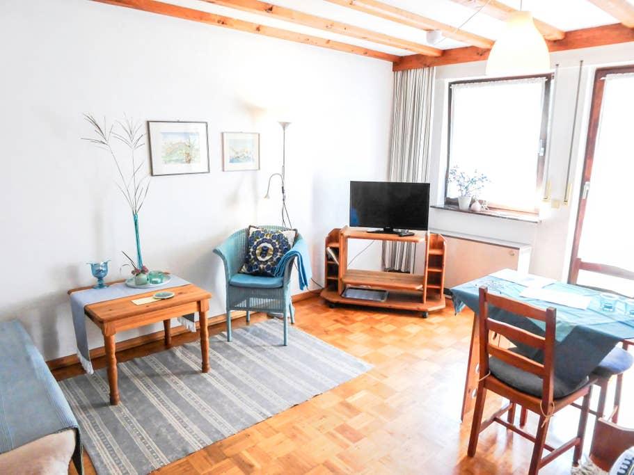 Pet Friendly Enkirch Airbnb Rentals