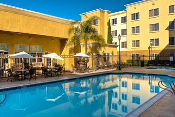 Pet Friendly Hotels In California Bringfido