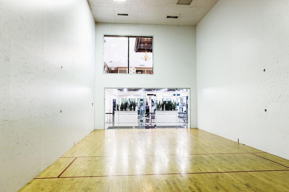 Novi's Hidden Gem Pet Policy